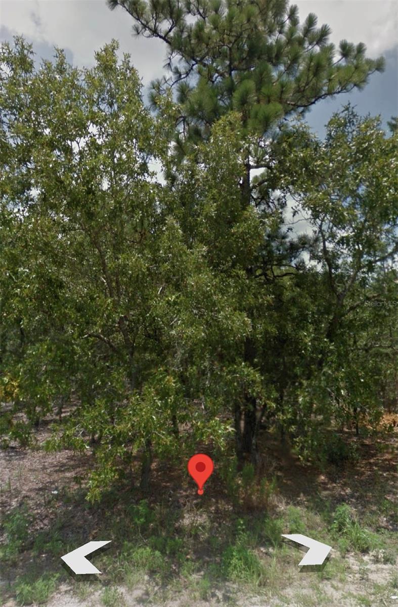 12 SPRING PL, OCALA, FL, 34472