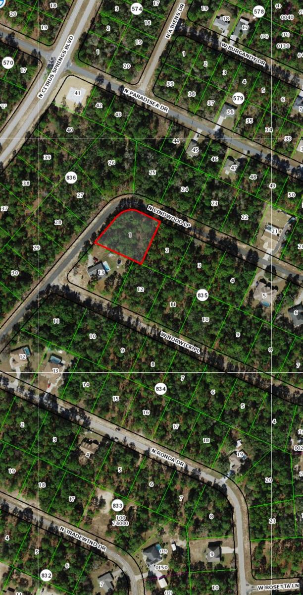 8536 N LINWOOD LOOP, CITRUS SPRINGS, FL, 34433