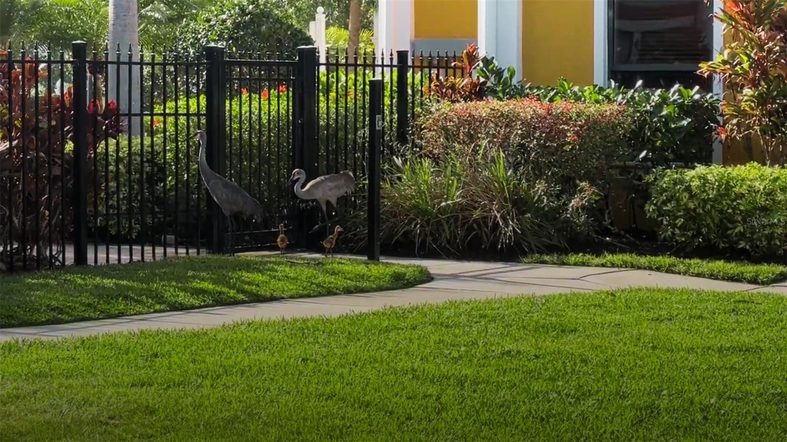 8325 38TH STREET CIR E #101, SARASOTA, FL, 34243