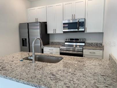 1556 CUMIN DR, KISSIMMEE, FL, 34759