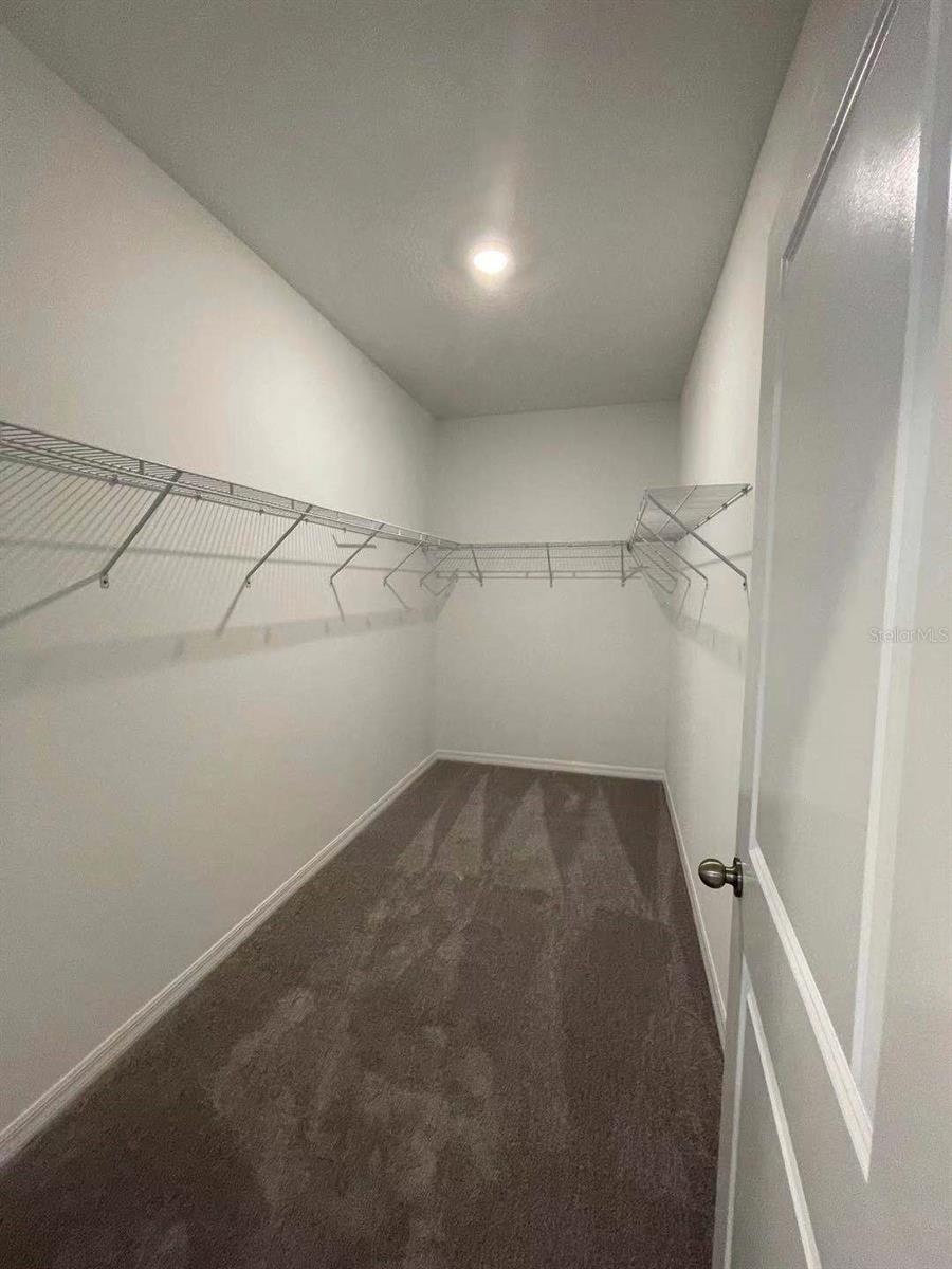 31993 BLUE PASSING, WESLEY CHAPEL, FL, 33545