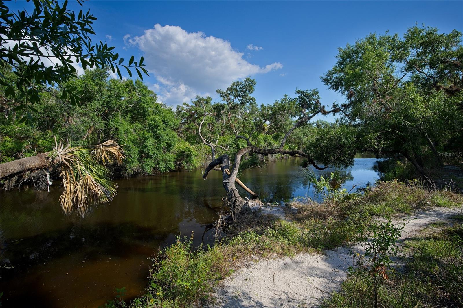 956 SCHERER WAY, OSPREY, FL, 34229