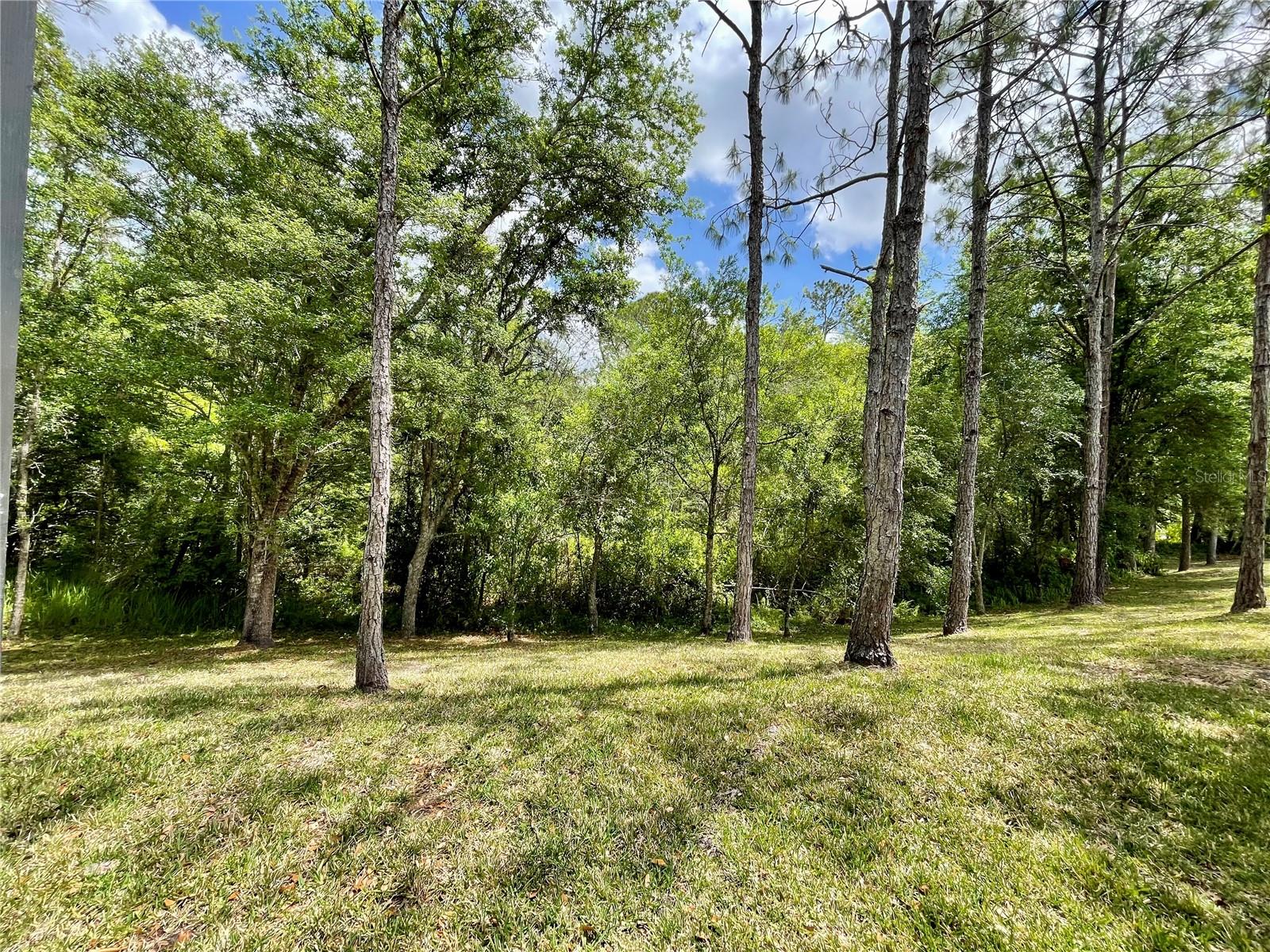 16102 STAGS LEAP DR, LUTZ, FL, 33559