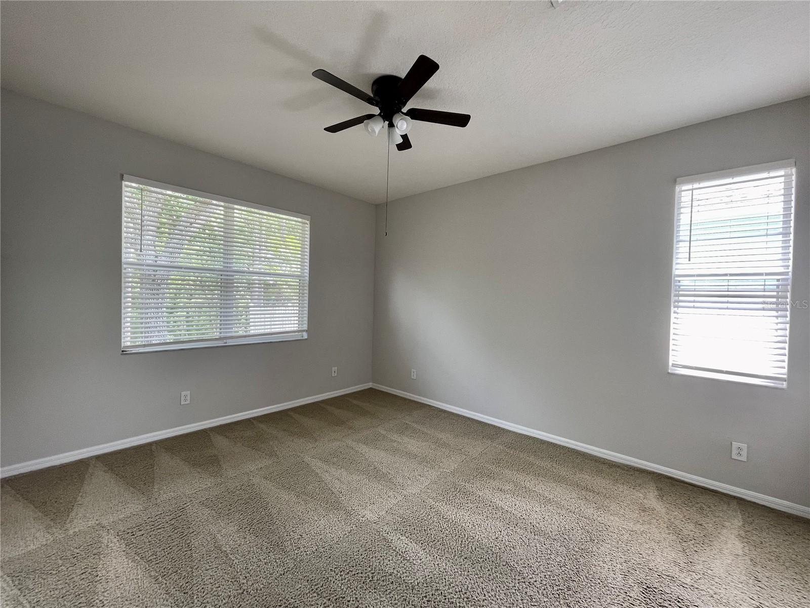 16102 STAGS LEAP DR, LUTZ, FL, 33559