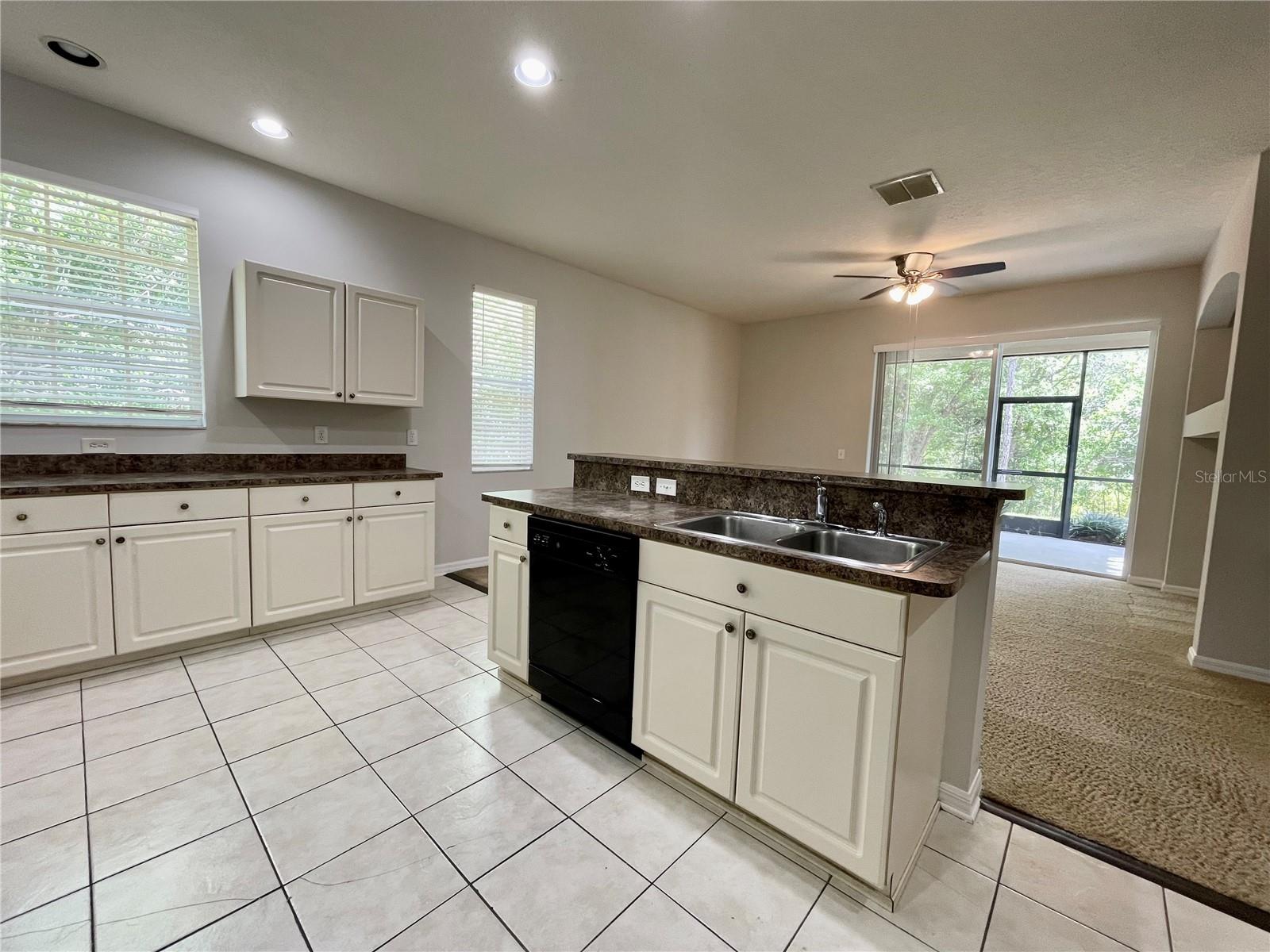 16102 STAGS LEAP DR, LUTZ, FL, 33559