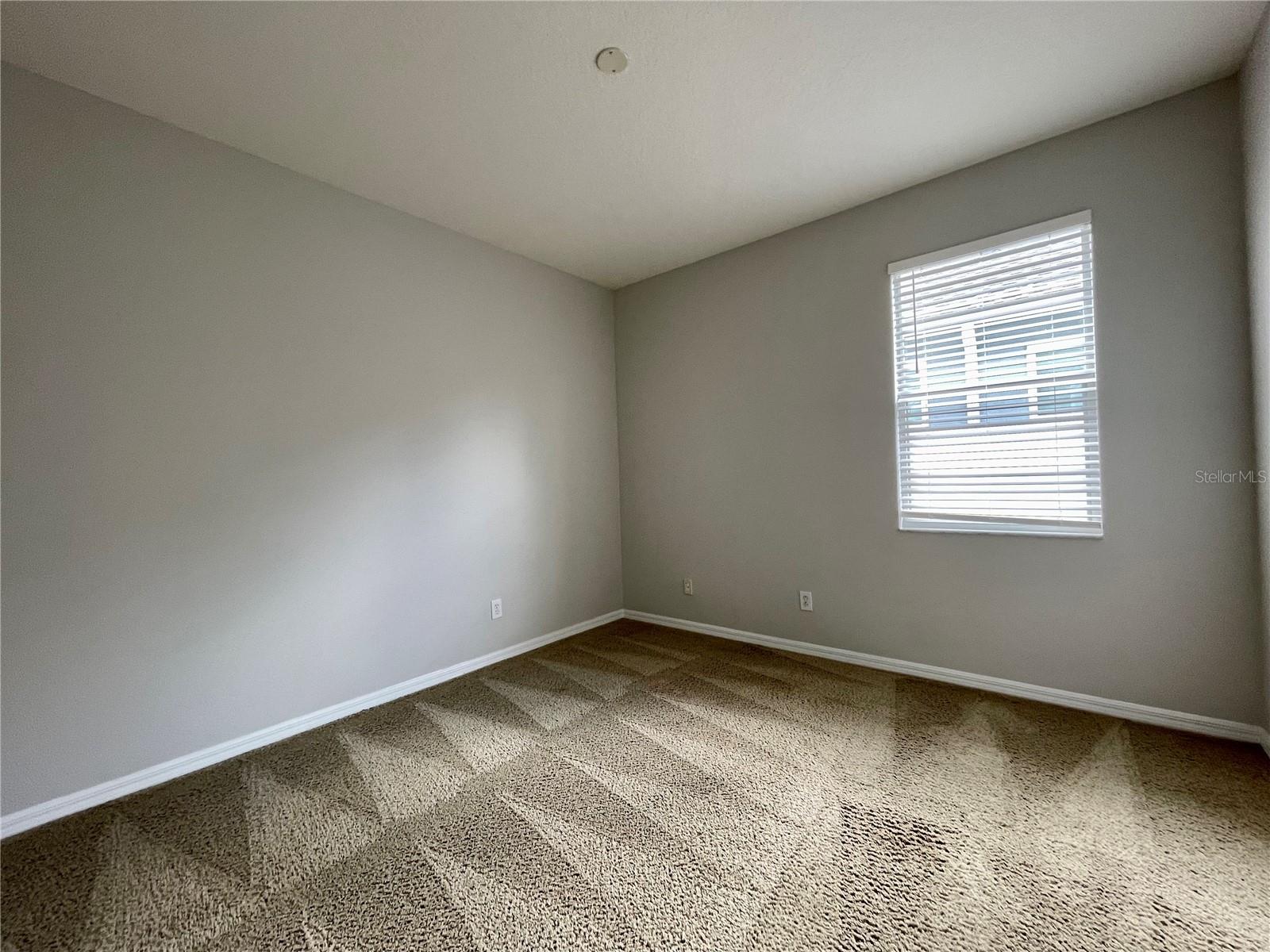 16102 STAGS LEAP DR, LUTZ, FL, 33559