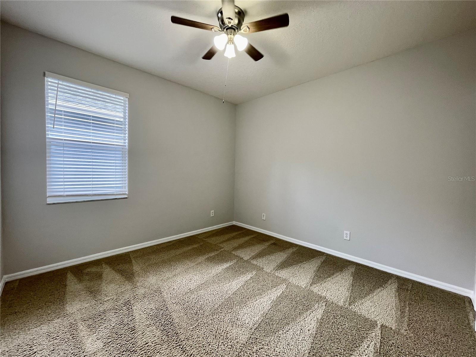16102 STAGS LEAP DR, LUTZ, FL, 33559