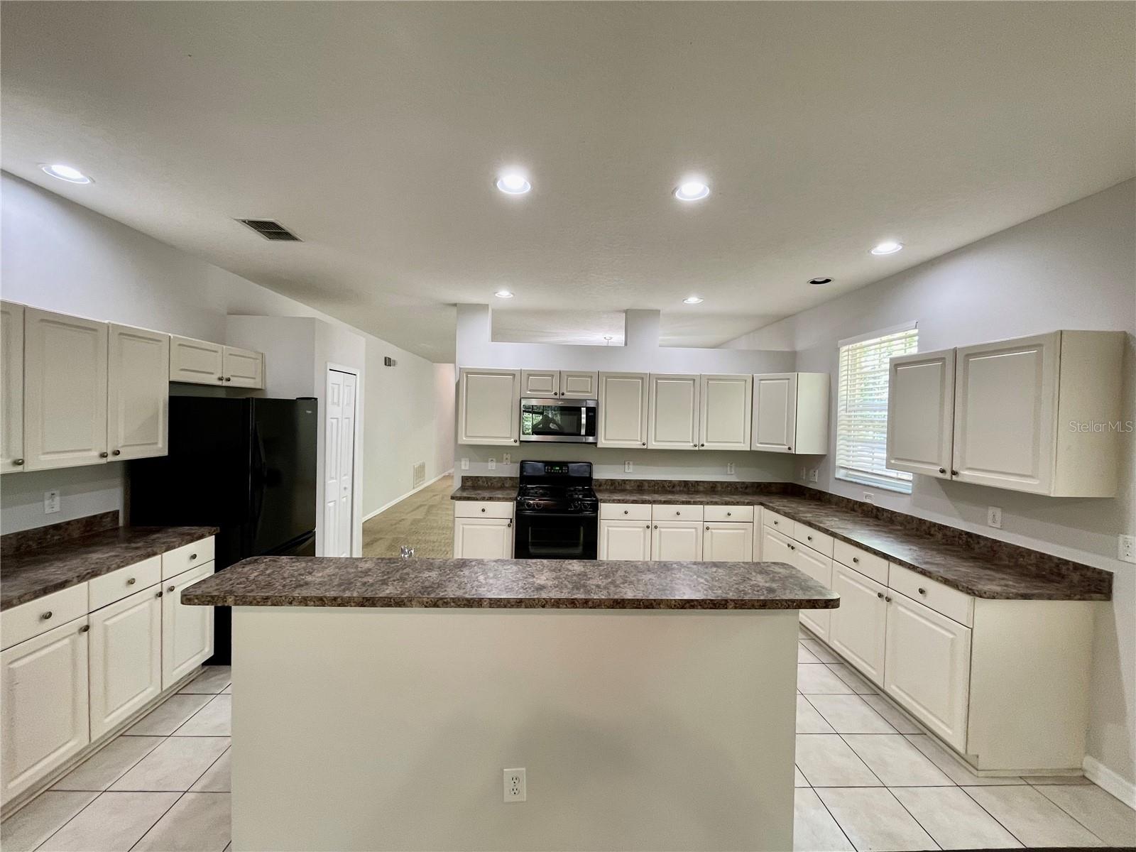 16102 STAGS LEAP DR, LUTZ, FL, 33559