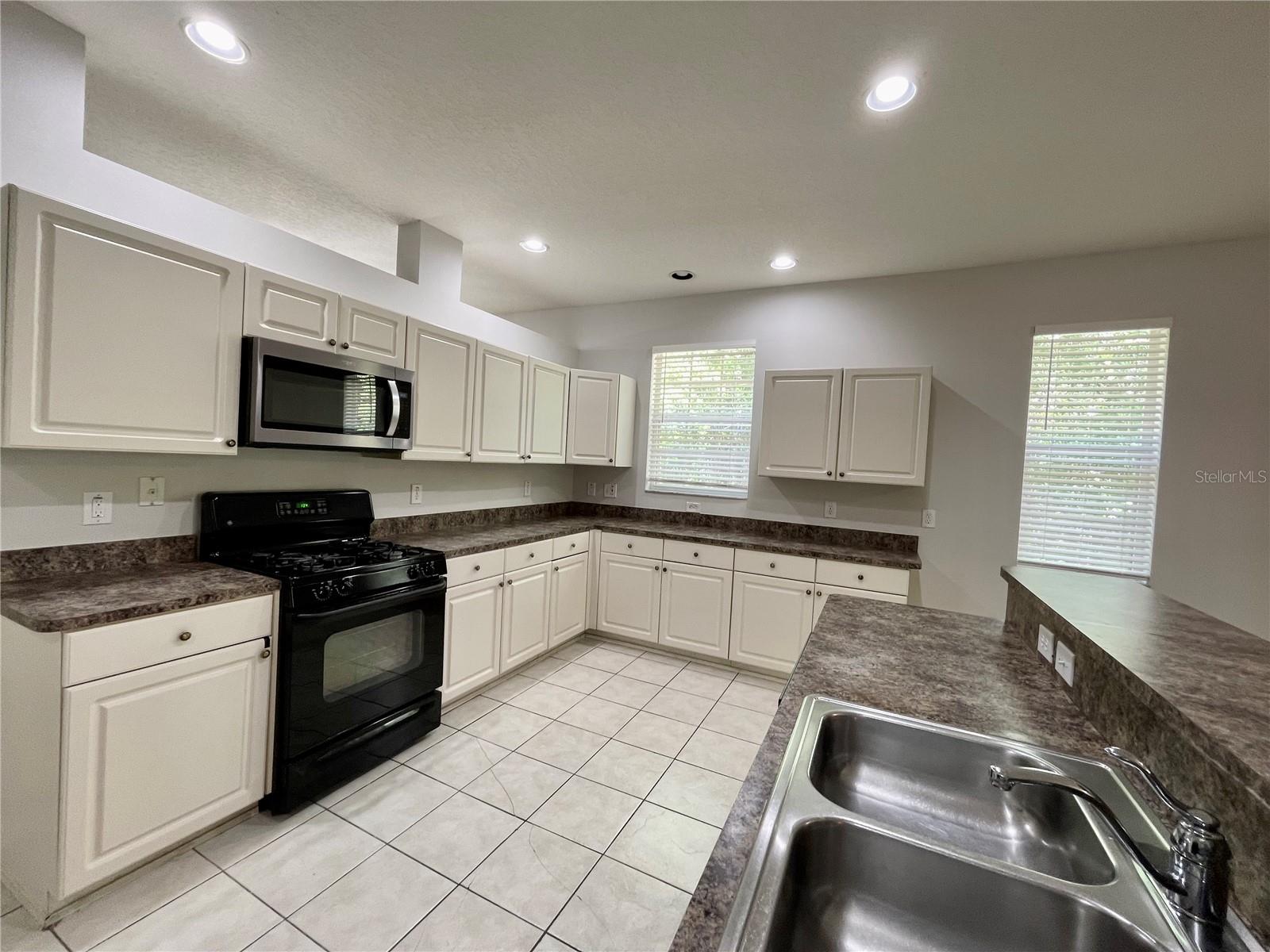 16102 STAGS LEAP DR, LUTZ, FL, 33559