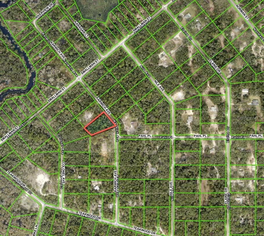 6450 KARWICH AVE, WEBSTER, FL, 33597