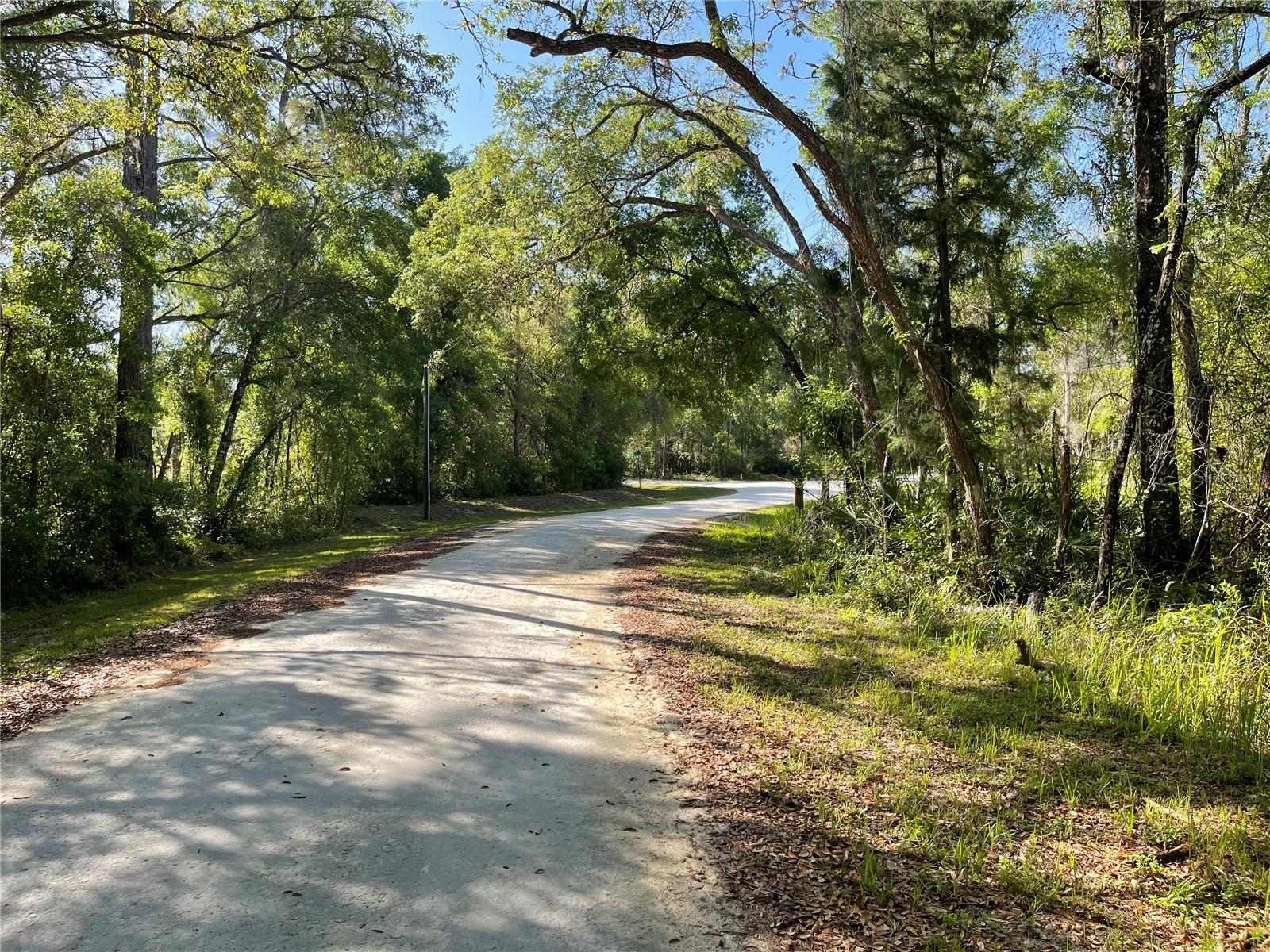 6450 KARWICH AVE, WEBSTER, FL, 33597