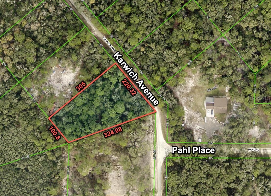 6450 KARWICH AVE, WEBSTER, FL, 33597