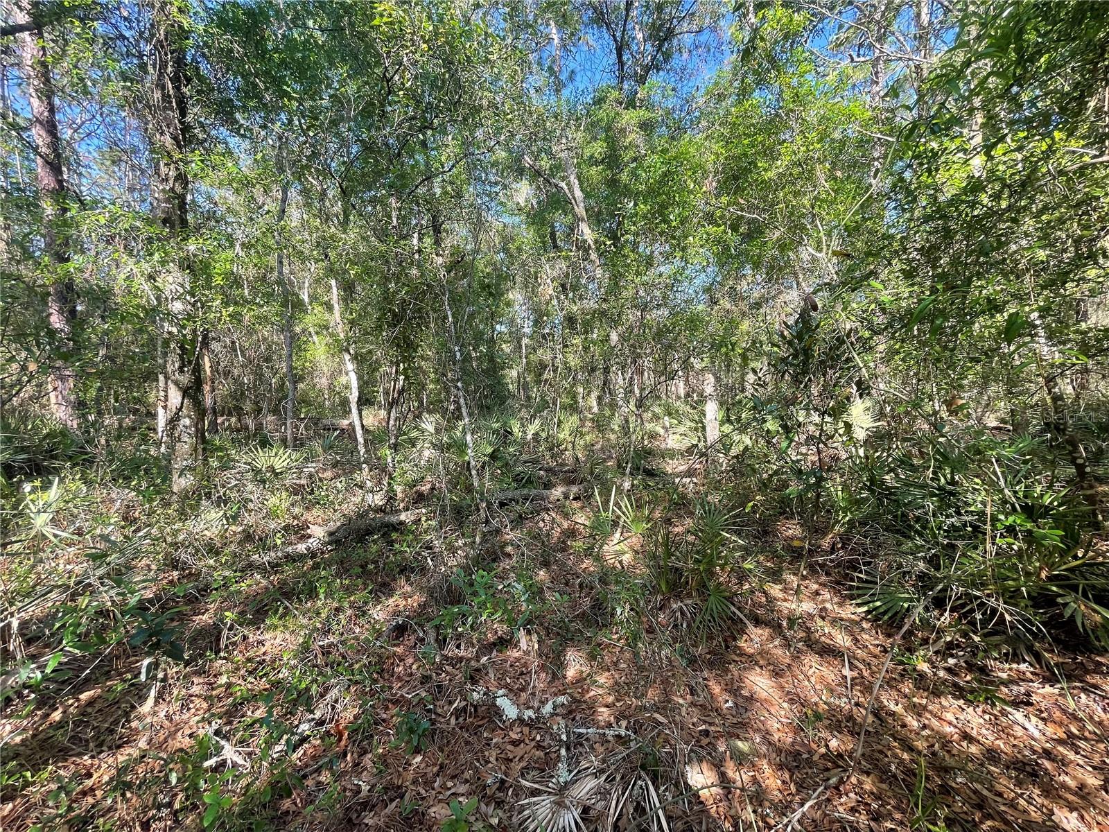 6450 KARWICH AVE, WEBSTER, FL, 33597