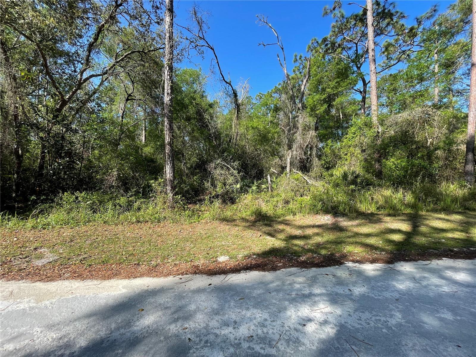 6450 KARWICH AVE, WEBSTER, FL, 33597