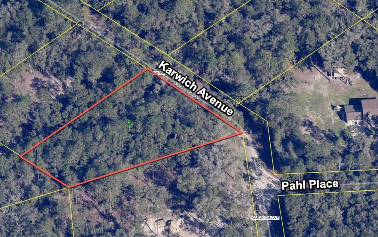 6450 KARWICH AVE, WEBSTER, FL, 33597