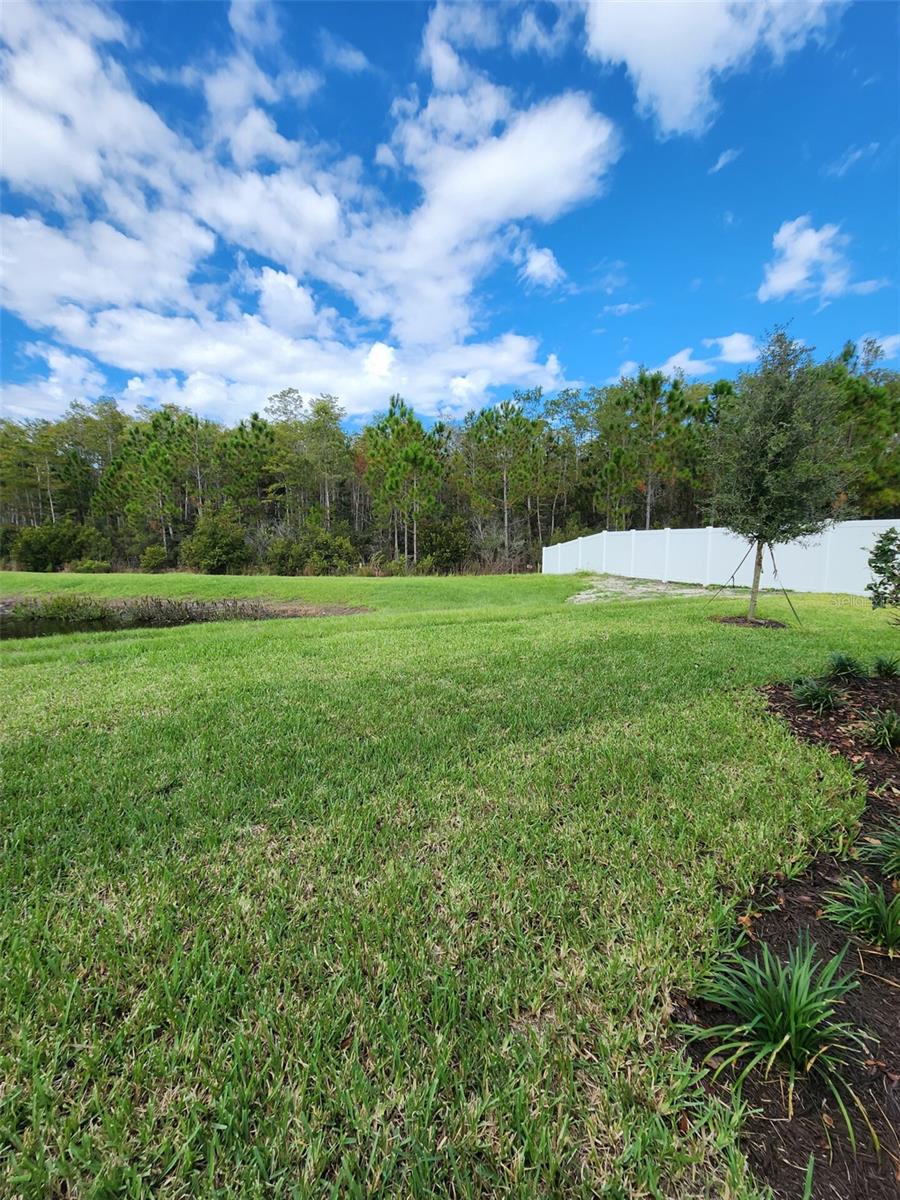 1134 PANDO LOOP, ORLANDO, FL, 32824