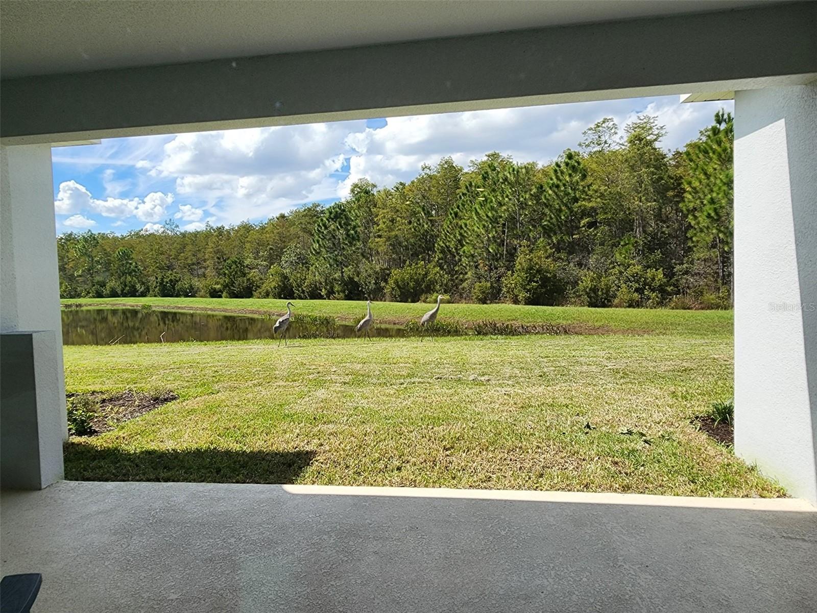 1134 PANDO LOOP, ORLANDO, FL, 32824