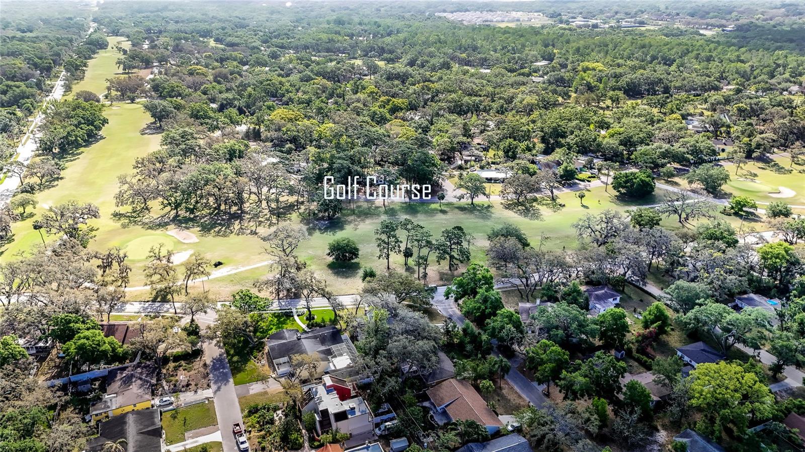 310 DEER PARK AVE, TEMPLE TERRACE, FL, 33617