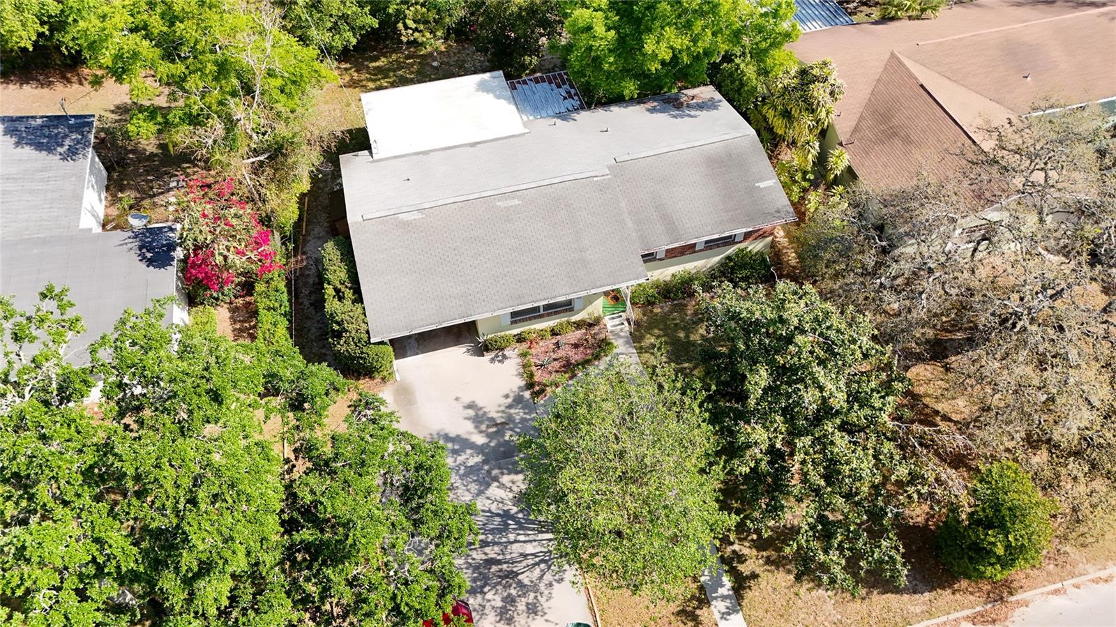 310 DEER PARK AVE, TEMPLE TERRACE, FL, 33617