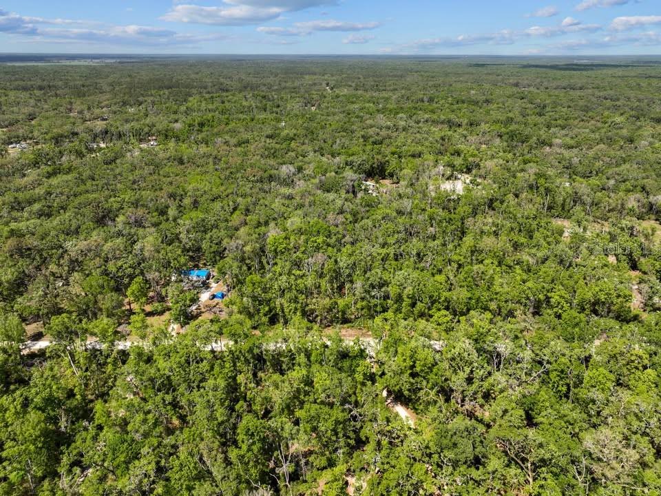 NE 230TH AVE, OLD TOWN, FL, 32680
