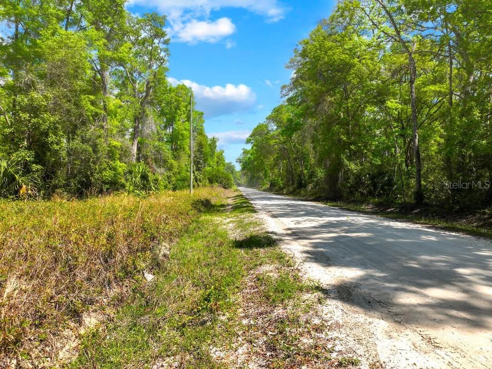 NE 230TH AVE, OLD TOWN, FL, 32680
