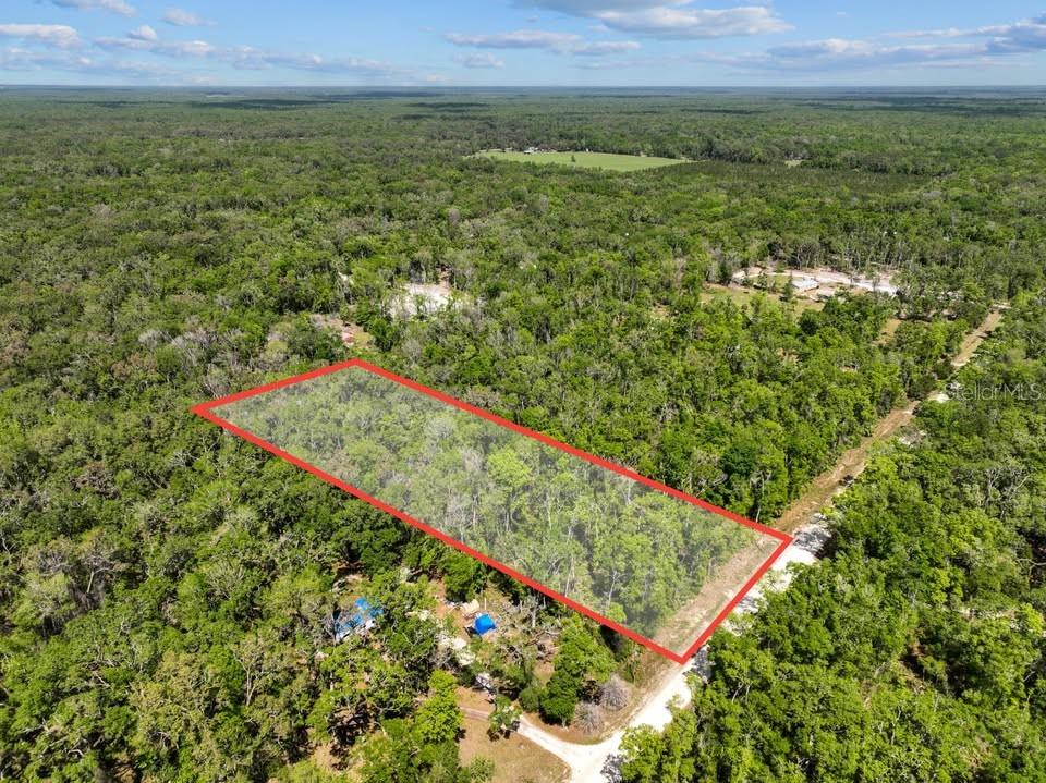NE 230TH AVE, OLD TOWN, FL, 32680