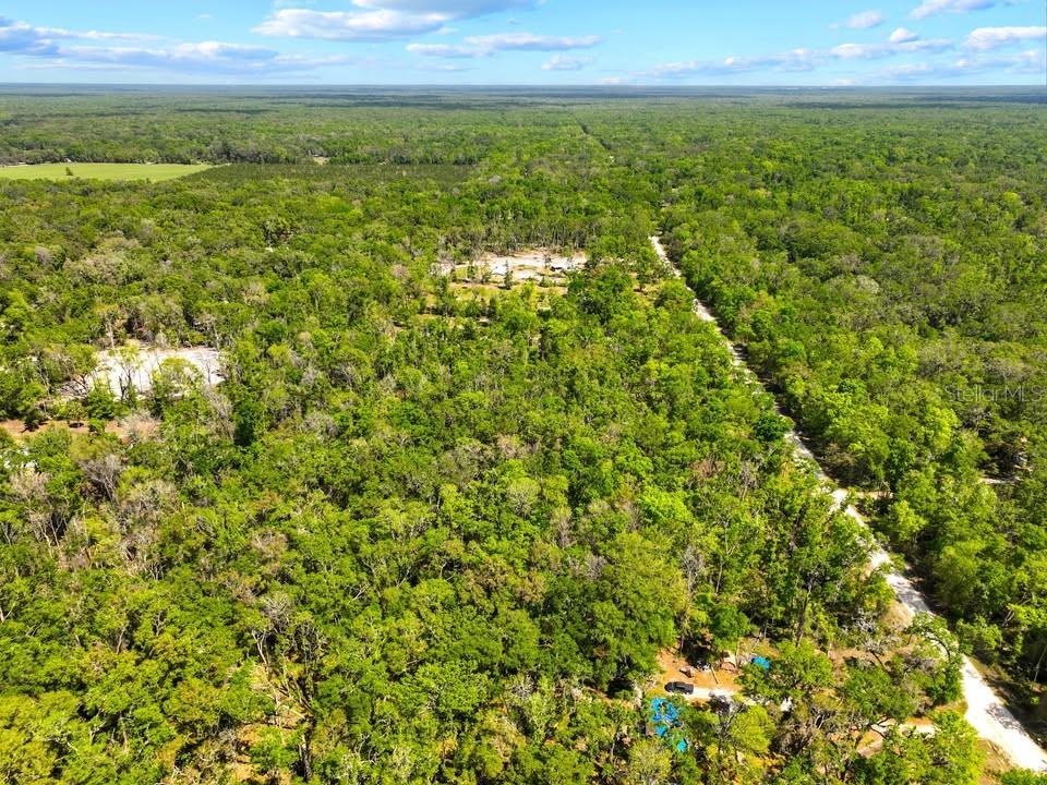 NE 230TH AVE, OLD TOWN, FL, 32680