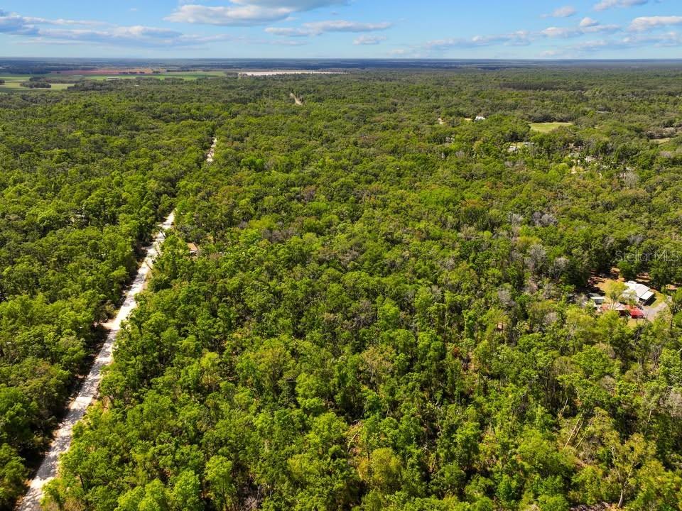 NE 230TH AVE, OLD TOWN, FL, 32680