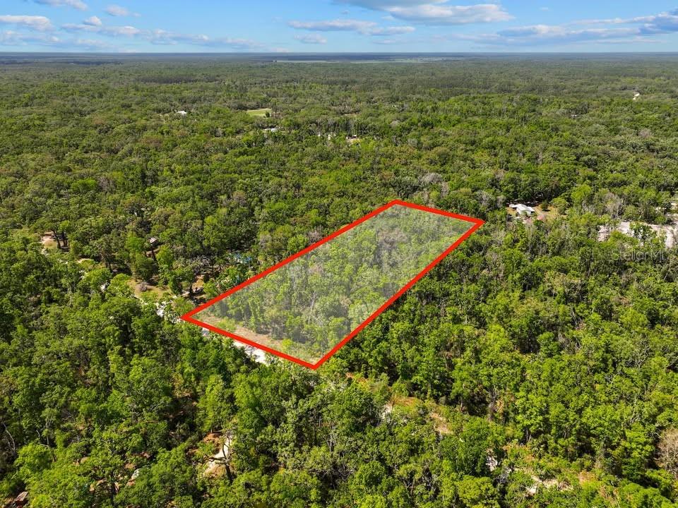 NE 230TH AVE, OLD TOWN, FL, 32680