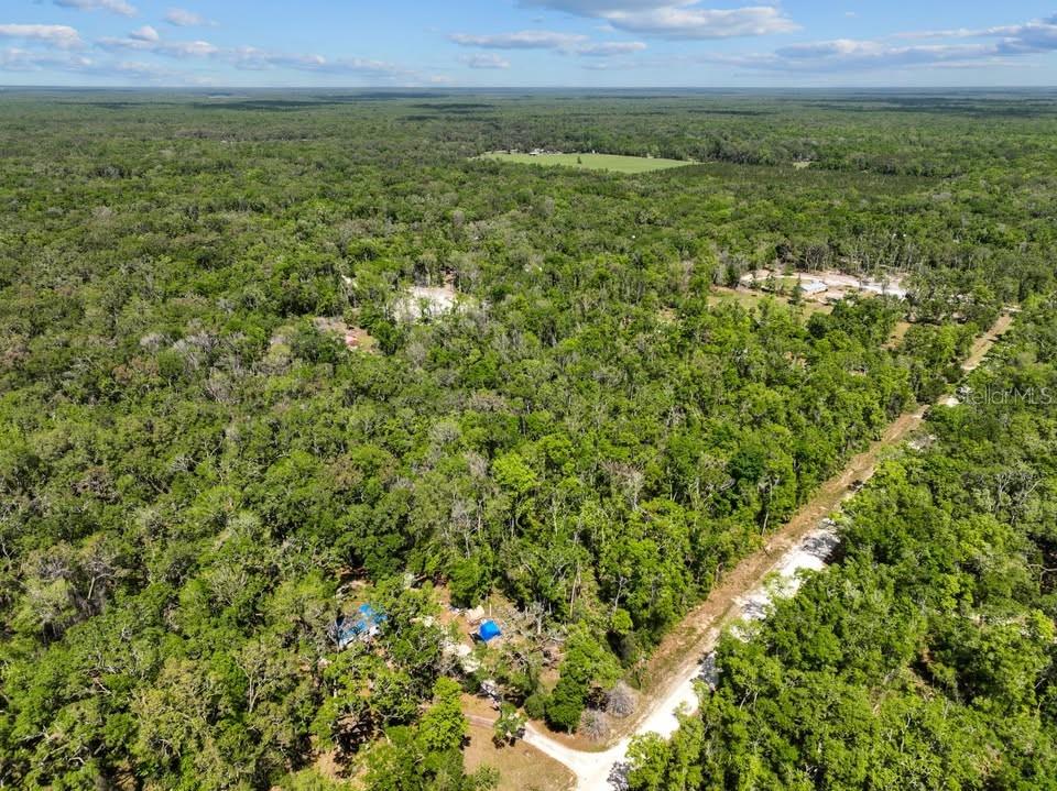 NE 230TH AVE, OLD TOWN, FL, 32680