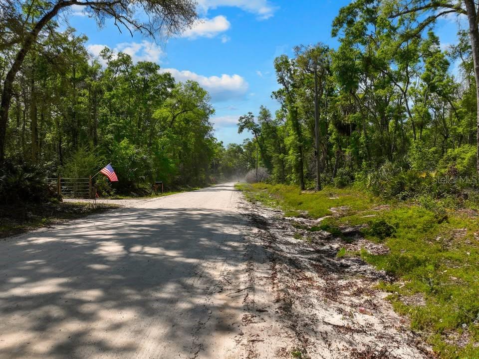 NE 230TH AVE, OLD TOWN, FL, 32680