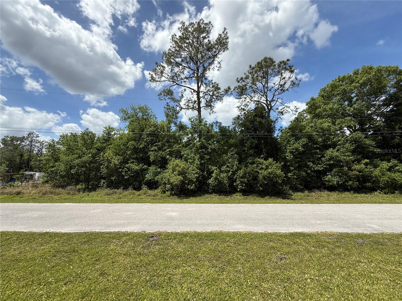 10528 SMOKIE CREEK LN, LAKELAND, FL, 33809