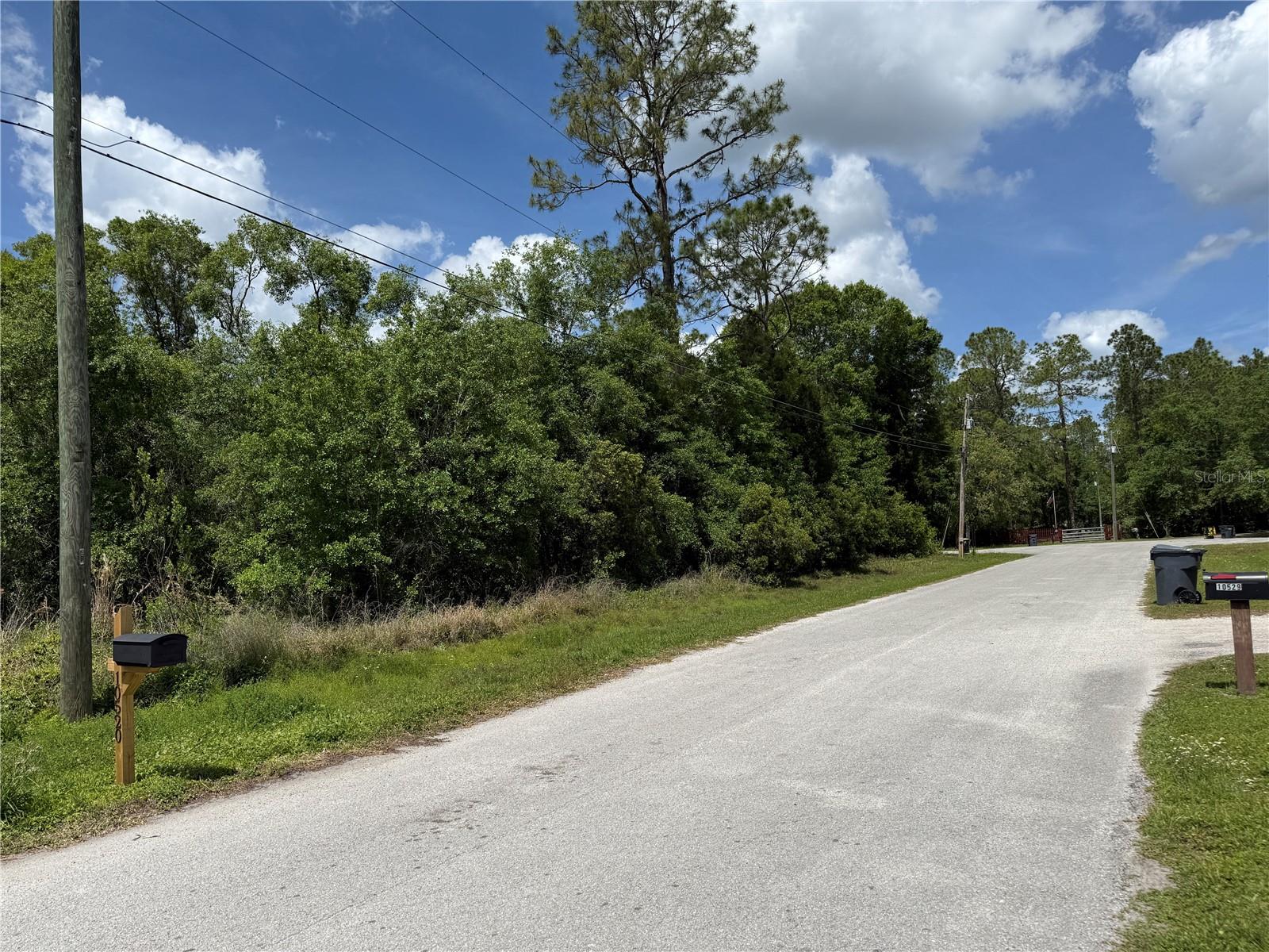 10528 SMOKIE CREEK LN, LAKELAND, FL, 33809