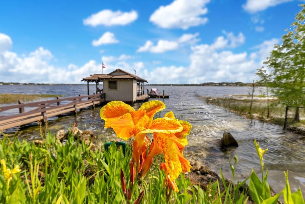 10577 DOWN LAKEVIEW CIR, WINDERMERE, FL, 34786