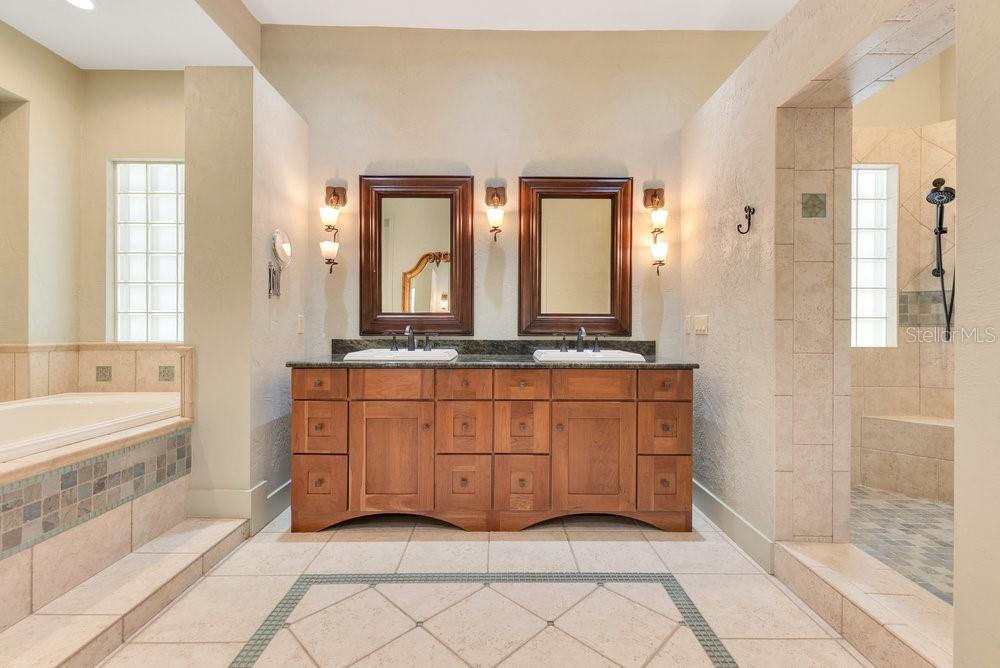 10577 DOWN LAKEVIEW CIR, WINDERMERE, FL, 34786