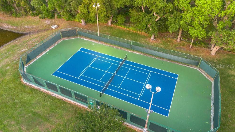 10577 DOWN LAKEVIEW CIR, WINDERMERE, FL, 34786