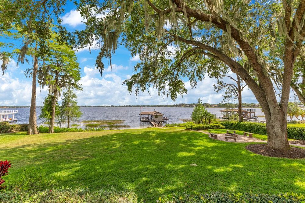 10577 DOWN LAKEVIEW CIR, WINDERMERE, FL, 34786