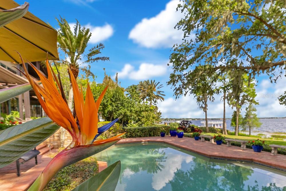 10577 DOWN LAKEVIEW CIR, WINDERMERE, FL, 34786