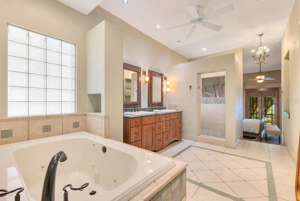 10577 DOWN LAKEVIEW CIR, WINDERMERE, FL, 34786