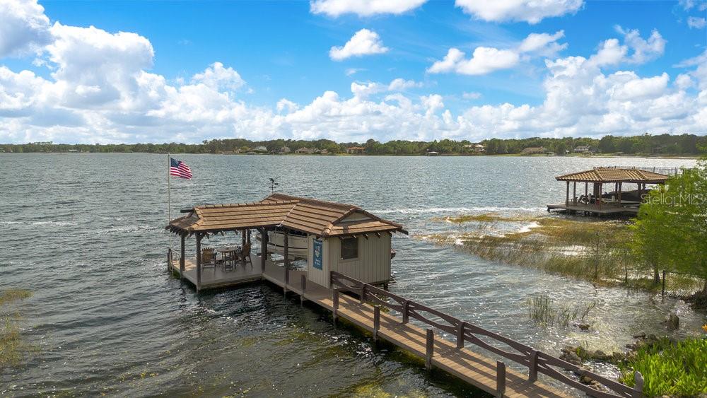 10577 DOWN LAKEVIEW CIR, WINDERMERE, FL, 34786