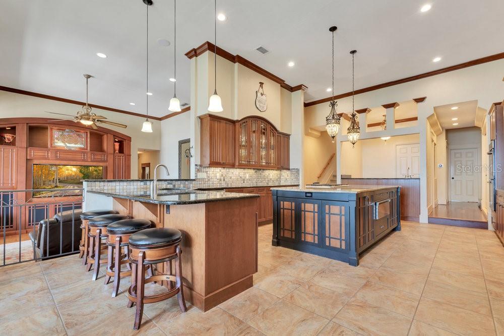 10577 DOWN LAKEVIEW CIR, WINDERMERE, FL, 34786