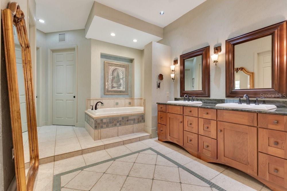 10577 DOWN LAKEVIEW CIR, WINDERMERE, FL, 34786