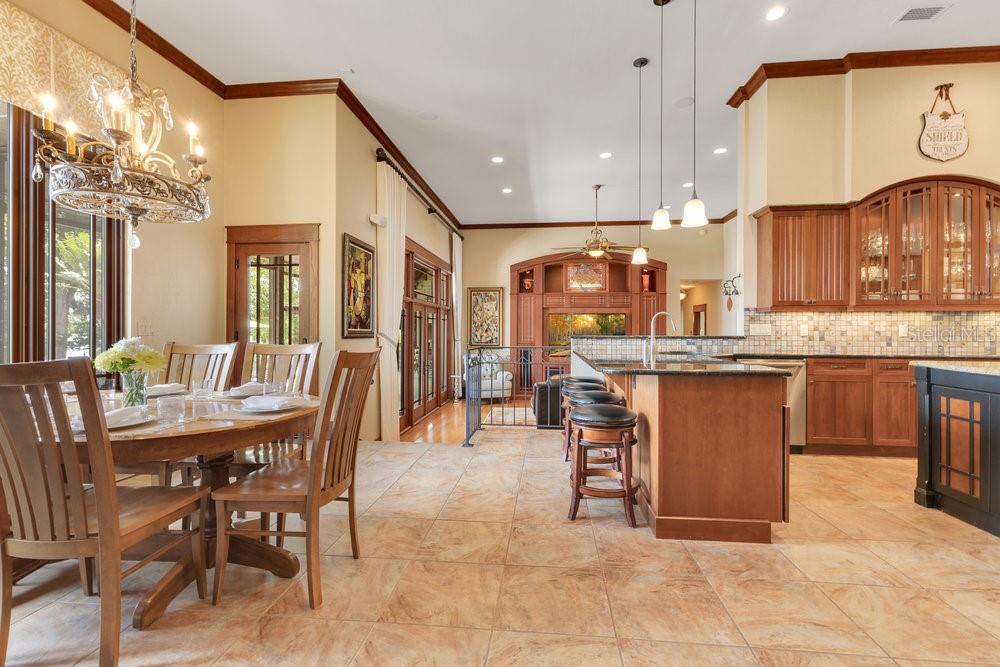 10577 DOWN LAKEVIEW CIR, WINDERMERE, FL, 34786