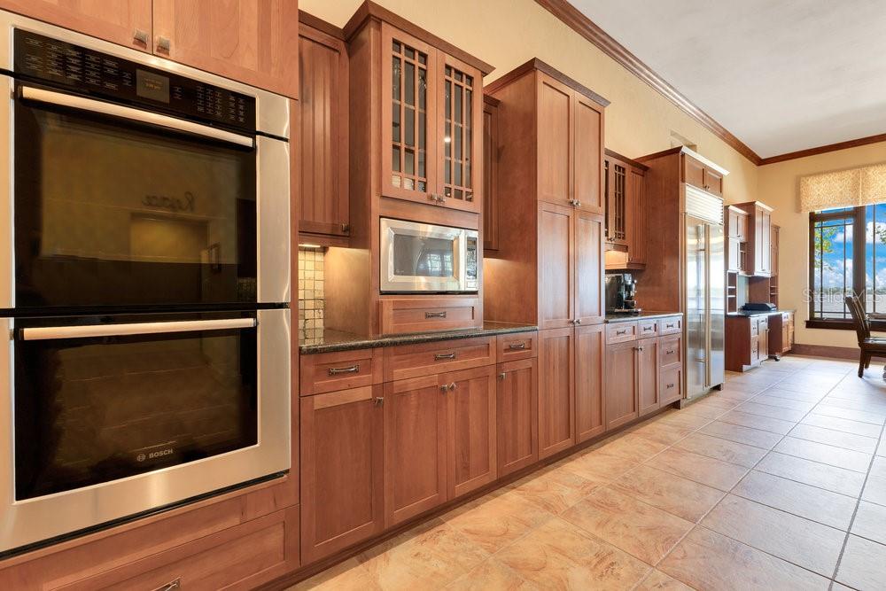 10577 DOWN LAKEVIEW CIR, WINDERMERE, FL, 34786