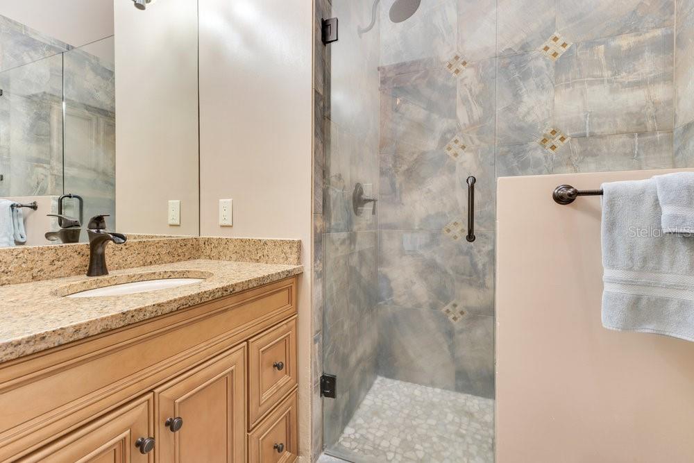 10577 DOWN LAKEVIEW CIR, WINDERMERE, FL, 34786
