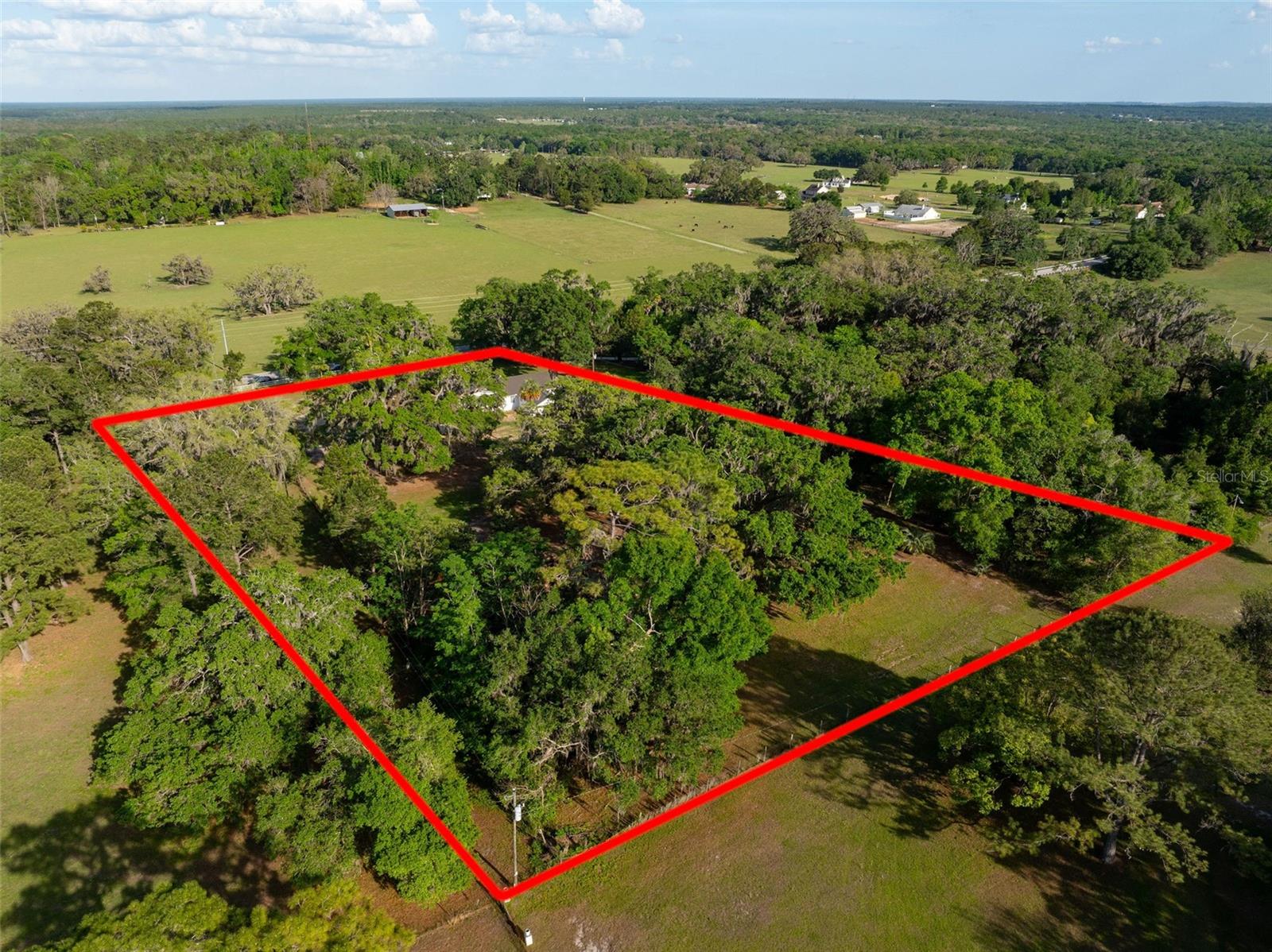 26384 MONDON HILL RD, BROOKSVILLE, FL, 34601