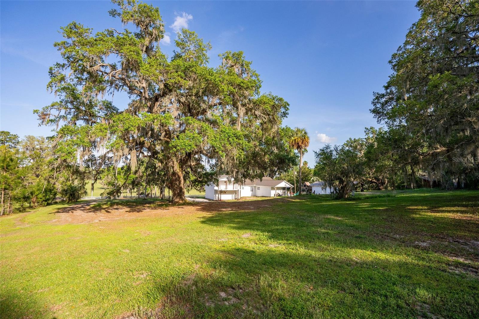 26384 MONDON HILL RD, BROOKSVILLE, FL, 34601