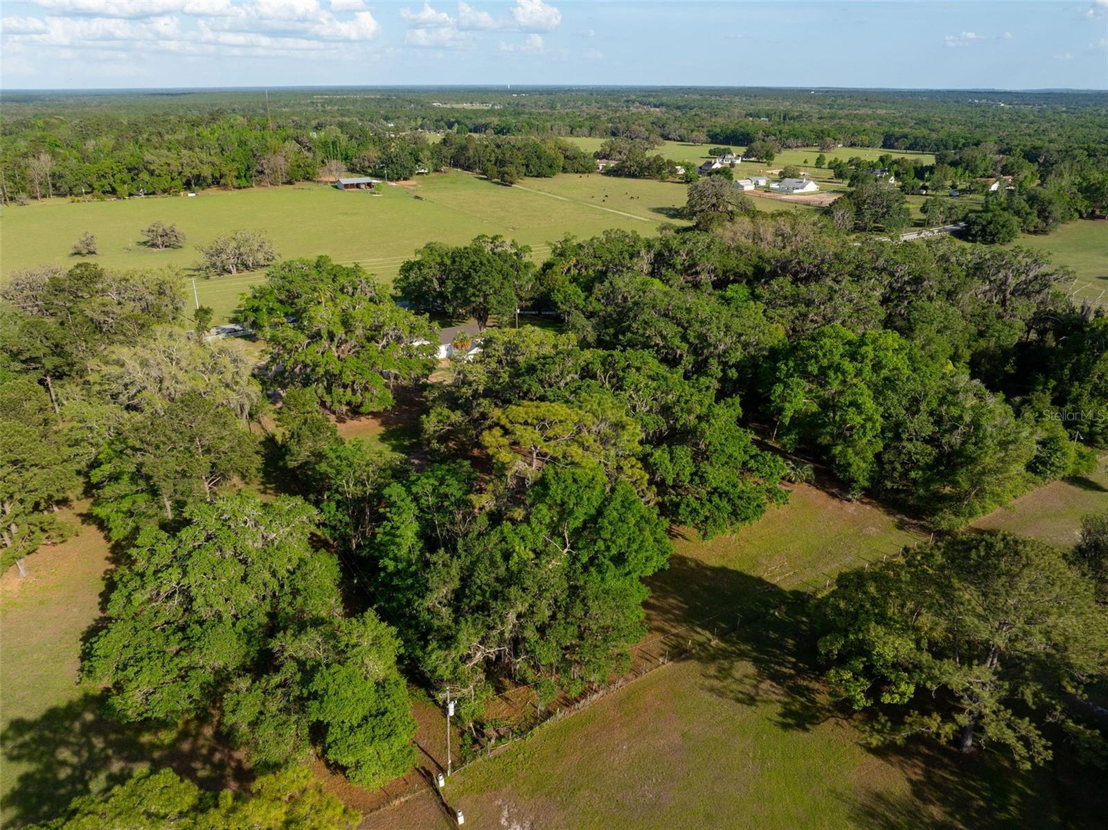 26384 MONDON HILL RD, BROOKSVILLE, FL, 34601