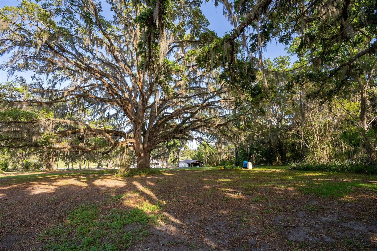 26384 MONDON HILL RD, BROOKSVILLE, FL, 34601