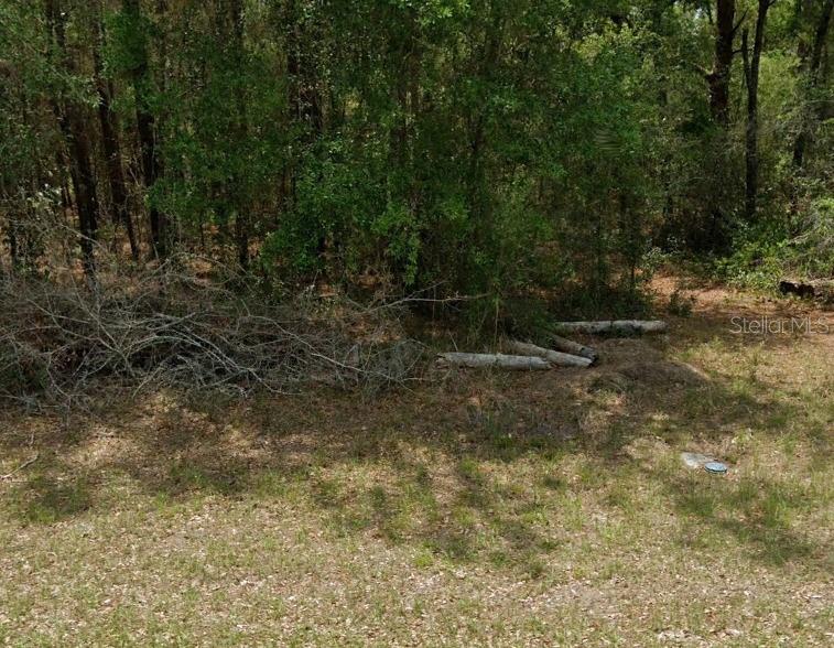 11908 MONICA DR, CITRUS SPRINGS, FL, 34433